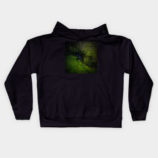 Kauai volcano and waterfall Kids Hoodie